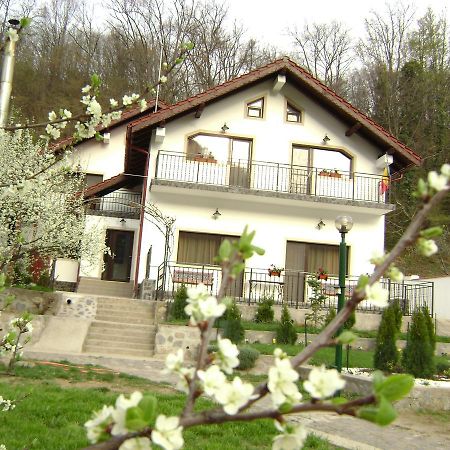 Pension Casa Natura Байле Херкулане Екстериор снимка