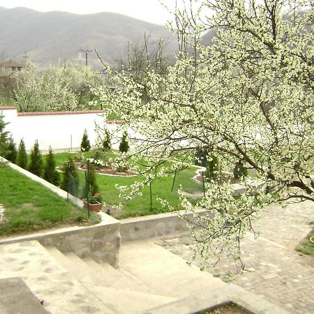 Pension Casa Natura Байле Херкулане Екстериор снимка