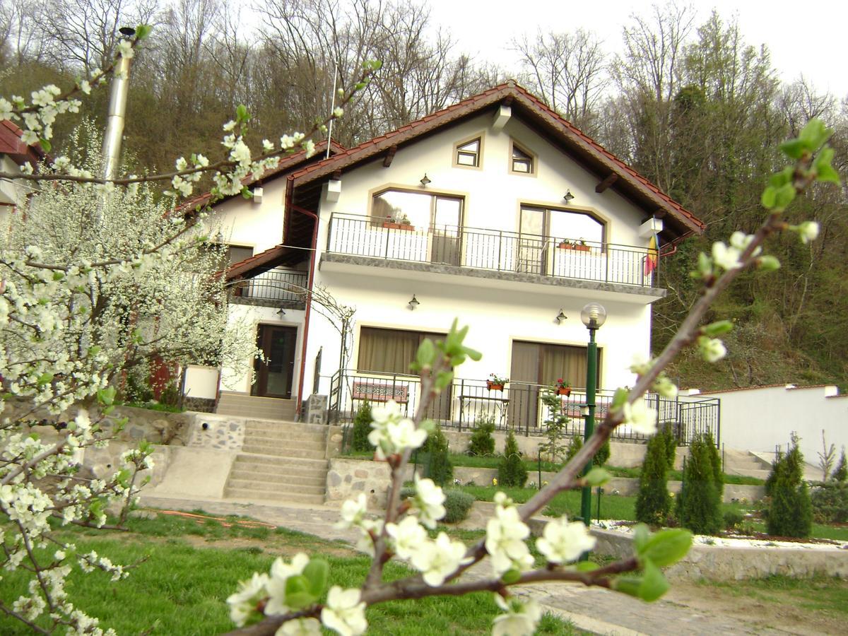 Pension Casa Natura Байле Херкулане Екстериор снимка