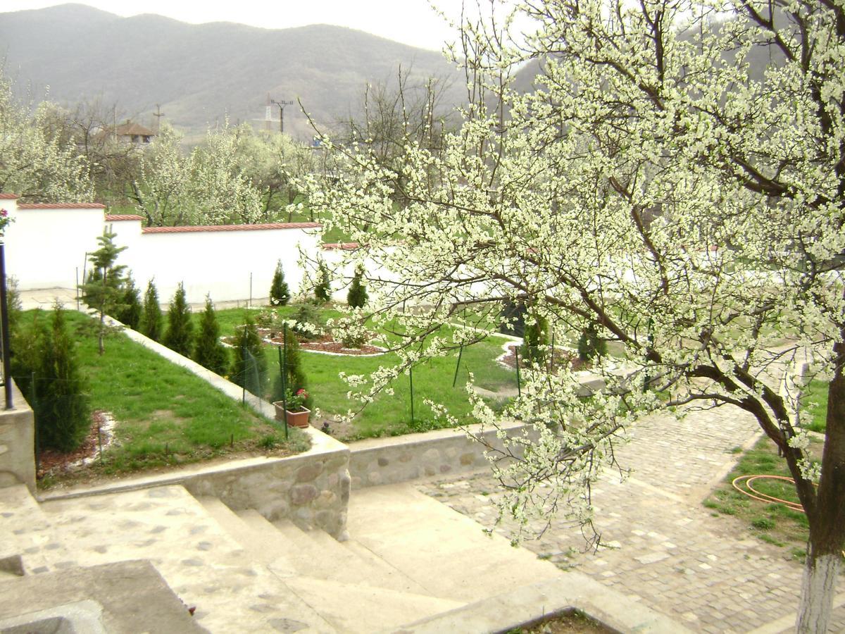 Pension Casa Natura Байле Херкулане Екстериор снимка