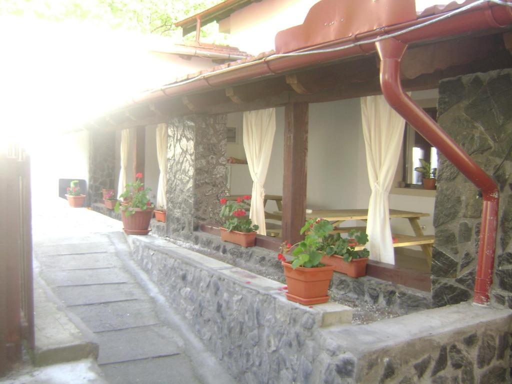 Pension Casa Natura Байле Херкулане Екстериор снимка