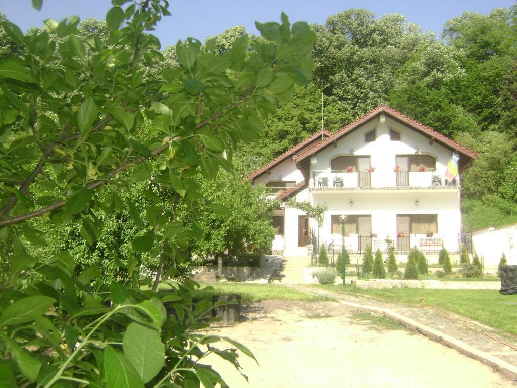 Pension Casa Natura Байле Херкулане Екстериор снимка