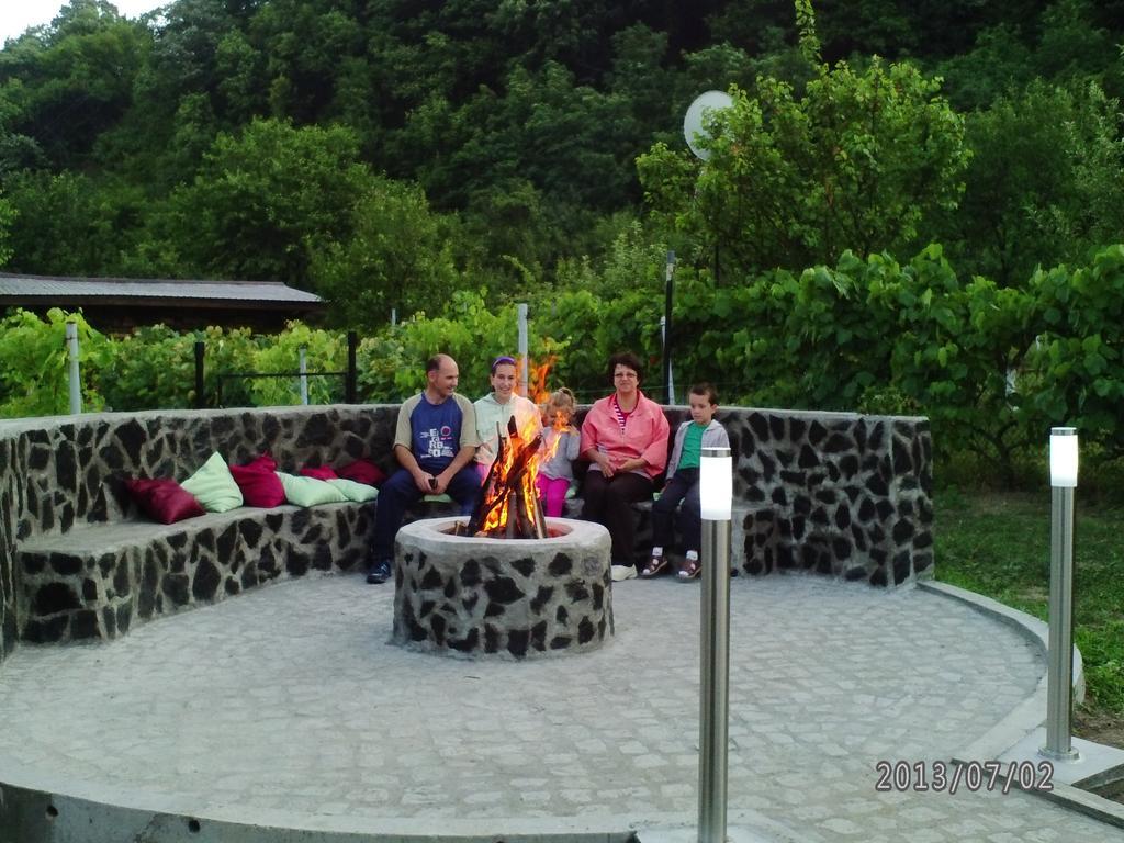 Pension Casa Natura Байле Херкулане Екстериор снимка