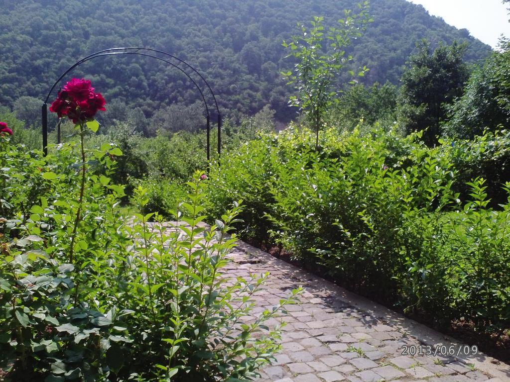 Pension Casa Natura Байле Херкулане Екстериор снимка