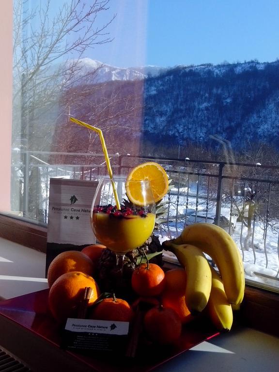 Pension Casa Natura Байле Херкулане Екстериор снимка