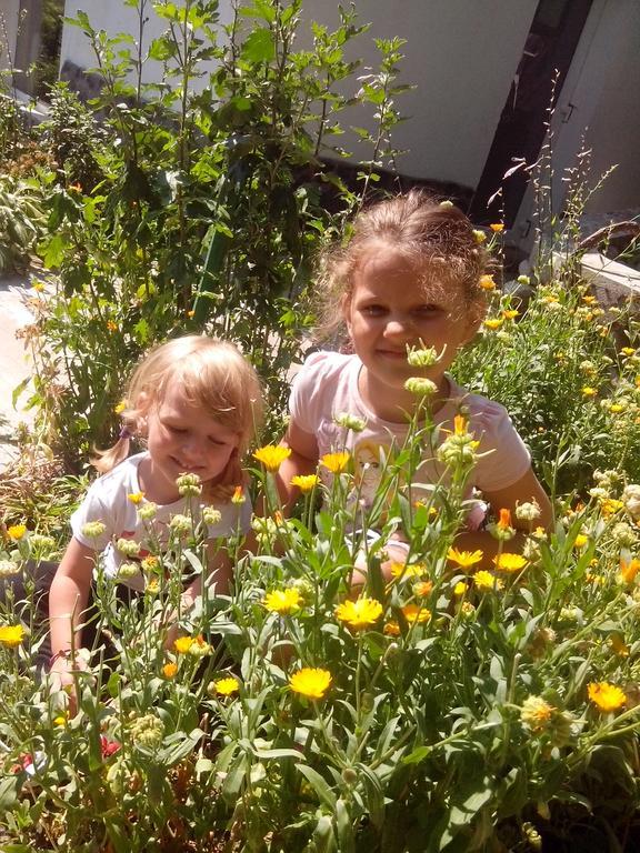 Pension Casa Natura Байле Херкулане Екстериор снимка