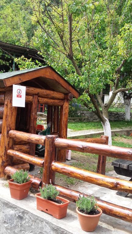Pension Casa Natura Байле Херкулане Екстериор снимка