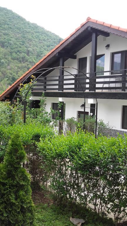 Pension Casa Natura Байле Херкулане Екстериор снимка