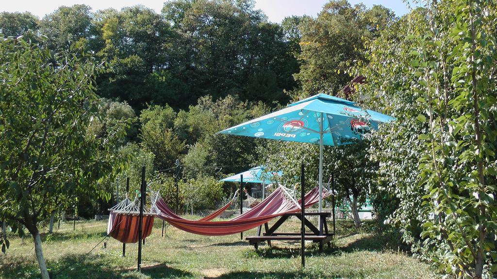 Pension Casa Natura Байле Херкулане Екстериор снимка