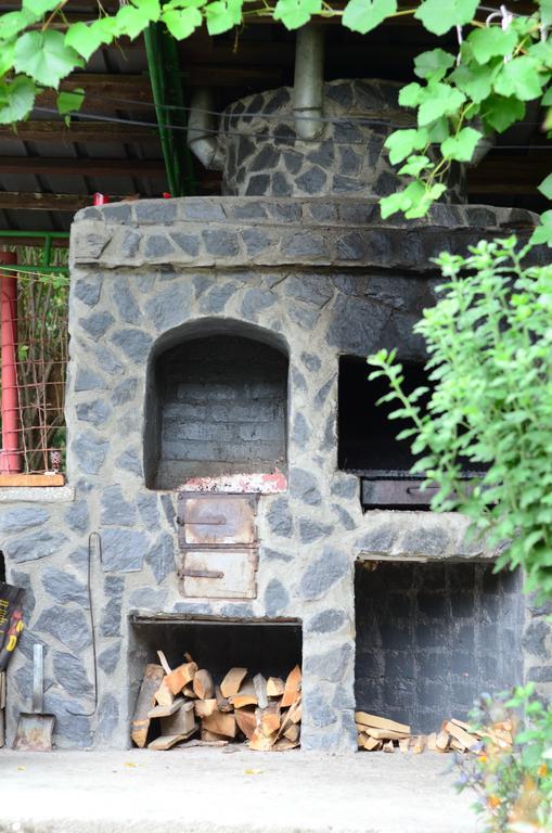 Pension Casa Natura Байле Херкулане Екстериор снимка