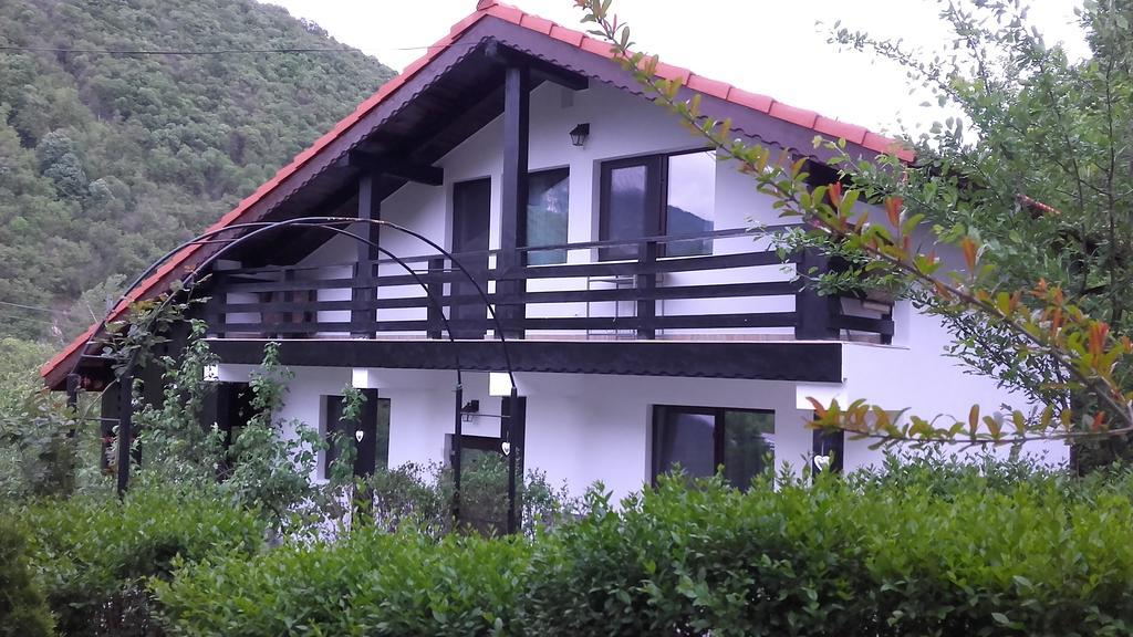 Pension Casa Natura Байле Херкулане Екстериор снимка